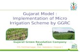 Gujarat Model : Implementation of Micro Irrigation Scheme by GGRC Gujarat Green Revolution Company Ltd. P.O. Fertilizernagar, Dist. Vadodara ( Gujarat.