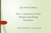 Lab Animal Safety: Part 2: Laboratory Animal Allergies and Allergy Prevention Alyssa McIntyre, DVM, DACLAM.