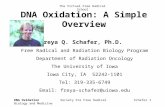 DNA Oxidation Society For Free Radical Biology and MedicineSchafer 1 DNA Oxidation: A Simple Overview Freya Q. Schafer, Ph.D. Free Radical and Radiation.