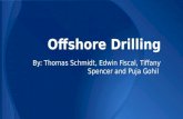 Offshore Drilling By: Thomas Schmidt, Edwin Fiscal, Tiffany Spencer and Puja Gohil.