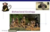 AP Biology Behavioral Ecology meerkats. AP Biology Why study behavior?  Evolutionary perspective…  part of phenotype  acted upon by natural selection.