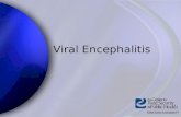 Viral Encephalitis. Center for Food Security and Public Health Iowa State University - 2004 Viral Encephalitis Western equine encephalitis (WEE) Eastern.