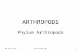 04 June 2015Arthropoda.ppt1 ARTHROPODS Phylum Arthropoda.