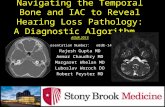 Navigating the Temporal Bone and IAC to Reveal Hearing Loss Pathology: A Diagnostic Algorithm. ASNR 2015 Presentation Number: eEdE-143 Rajesh Gupta MD.