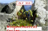 Biogeochemical Cycles ZLY 311. Introduction  Living things require various kinds of chemical elements for their synthetic and metabolic processes.