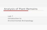Analysis of Plant Remains Lab 7 Introduction to Environmental Archaeology.