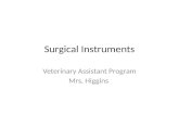 Surgical Instruments Veterinary Assistant Program Mrs. Higgins.