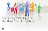 Connecting Pathology into The Healthcare Ecosystem.