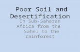 Poor Soil and Desertification In Sub-Saharan Africa from the Sahel to the rainforest.