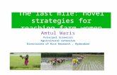 The last mile: novel strategies for reaching farm women Amtul Waris Principal Scientist Agricultural extension Directorate of Rice Research, Hyderabad.