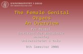 The Female Genital Organs An Overview Per Brodal Institutt for medisinske basalfag Universitetet i Oslo 9th Semester 2008.