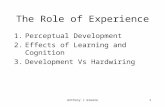 Anthony J Greene1 The Role of Experience 1.Perceptual Development 2.Effects of Learning and Cognition 3.Development Vs Hardwiring.