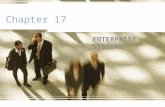Chapter 17 ENTERPRISE SYSTEMS. Learning Objectives Describe the concepts, definitions, and issues in enterprise information systems (EIS) Discuss the.