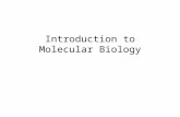 Introduction to Molecular Biology. Cells, genome, gene and DNA Almost all cells of a living organism contain an identical set of codes describing the.