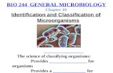 BIO 244 GENERAL MICROBIOLOGY Chapter 10 Identification and Classification of Microorganisms _________________ The science of classifying organisms: Provides.