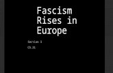 Fascism Rises in Europe Section 3 Ch.31. Fascism a militant political movement that emphasizes loyalty to the state and obedience to its leader. Fascists.