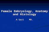 Female Embryology, Anatomy and Histology A Gari MD.