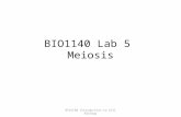 BIO1140 Lab 5 Meiosis BIO1140 Introduction to Cell Biology.