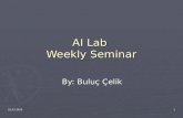 25.03.20051 AI Lab Weekly Seminar By: Buluç Çelik.