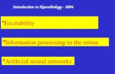 Excitability Information processing in the retina Artificial neural networks Introduction to Neurobiology - 2004.