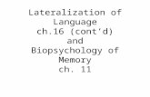 Lateralization of Language ch.16 (cont’d) and Biopsychology of Memory ch. 11.