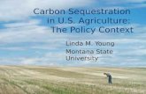 Carbon Sequestration in U.S. Agriculture: The Policy Context Linda M. Young Montana State University.
