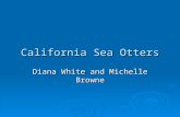California Sea Otters Diana White and Michelle Browne.