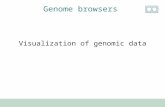 Visualization of genomic data Genome browsers. UCSC browser Ensembl browser Others ? Survey.