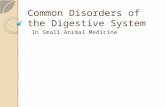 Common Disorders of the Digestive System In Small Animal Medicine.