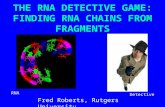 1 THE RNA DETECTIVE GAME: FINDING RNA CHAINS FROM FRAGMENTS Fred Roberts, Rutgers University RNA Detective.