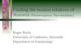 Finding the nearest relatives of Nasonia (Hymenoptera: Pteromalidae) Roger Burks University of California, Riverside Department of Entomology.