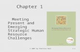 © 2007 by Prentice Hall1-1 Chapter 1 Meeting Present and Emerging Strategic Human Resource Challenges.