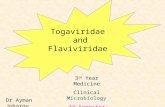 Dr Ayman Johargy Togaviridae and Flaviviridae 3 rd Year Medicine Clinical Microbiology 2 nd Semester.