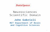 Neurosciences Scientific Domain John Gabrieli MIT Department of Brain and Cognitive Sciences DataSpace 1.