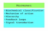 Hormones Biochemical classification Mechanism of action Hierarchy Feedback loops Signal transduction.