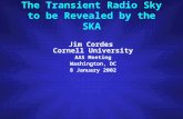 The Transient Radio Sky to be Revealed by the SKA Jim Cordes Cornell University AAS Meeting Washington, DC 8 January 2002.