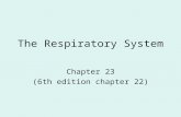 The Respiratory System Chapter 23 (6th edition chapter 22)