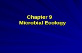 Chapter 9 Microbial Ecology. Microbiological Ecology: Microbiological Ecology: Microbial ecology is the study of the behavior and activities of microorganisms.