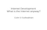 Internet Development What is the Internet anyway? Colm O Suilleabhain.