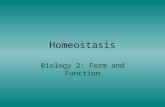 Homeostasis Biology 2: Form and Function. Overview Homeostasis = maintenance of constant internal environment Physiological controls –Negative feedback.