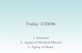 Today 3/20/06 1. Exercise 2. Aging of Skeletal Muscle 3. Aging of Heart.