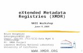 1 eXtended Metadata Registries (XMDR) NKOS Workshop June 11, 2005 Bruce Bargmeyer bebargmeyer@lbl.gov Chair: ISO/IEC JTC1/SC32-Data Mgmt & Interchange.
