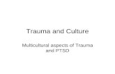 Trauma and Culture Multicultural aspects of Trauma and PTSD.