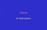 Cervix Dr. Raid Jastania. Cervical Cancer Screening HPV infection Pre- Cancerous Dysplasia Cancer 10-20 years.