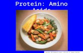 Protein: Amino Acids Copyright 2005 Wadsworth Group, a division of Thomson Learning.