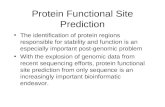 Protein Functional Site Prediction The identification of protein regions responsible for stability and function is an especially important post-genomic.
