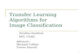 1 Transfer Learning Algorithms for Image Classification Ariadna Quattoni MIT, CSAIL Advisors: Michael Collins Trevor Darrell.