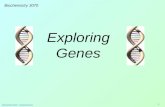 Biochemistry 3070 – Exploring Genes 1 Exploring Genes Biochemistry 3070.