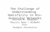 The Challenge of Understanding Specificity in Bio-molecular Networks Anirvan M. Sengupta Physics Dept./ BioMaPS Inst. Rutgers University.