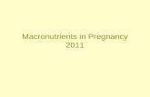 Macronutrients in Pregnancy 2011. Carbohydrate Protein Lipids.